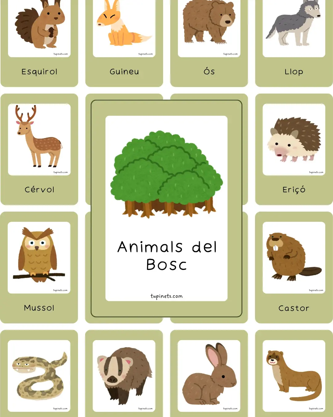 ANIMALS DEL BOSC preview 1